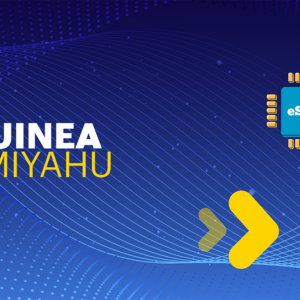Guinea 2 GB - 15 days