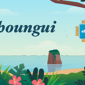 Mayotte 2 GB - 15 days
